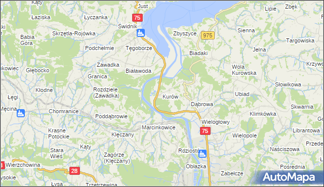 mapa Kurów gmina Chełmiec, Kurów gmina Chełmiec na mapie Targeo