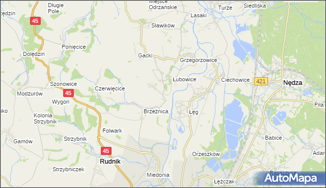mapa Ligota Książęca gmina Rudnik, Ligota Książęca gmina Rudnik na mapie Targeo