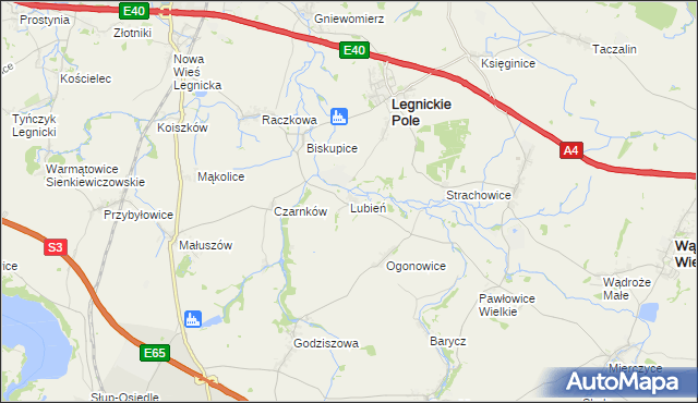 mapa Lubień gmina Legnickie Pole, Lubień gmina Legnickie Pole na mapie Targeo