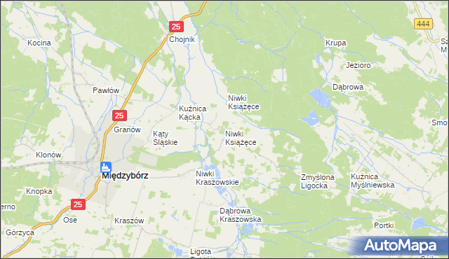 mapa Niwki Książęce gmina Międzybórz, Niwki Książęce gmina Międzybórz na mapie Targeo