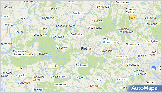 mapa Pleśna powiat tarnowski, Pleśna powiat tarnowski na mapie Targeo