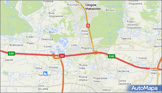 mapa Rogoźnica gmina Głogów Małopolski, Rogoźnica gmina Głogów Małopolski na mapie Targeo