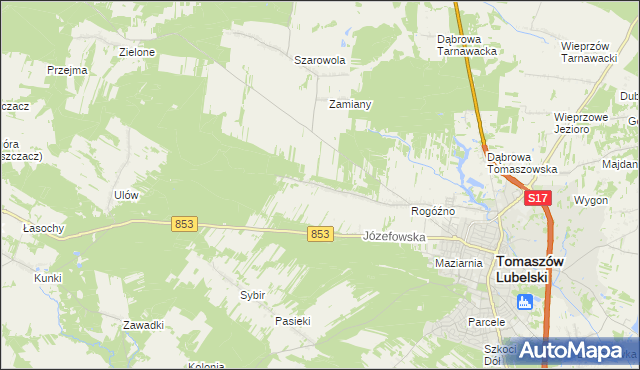 mapa Rogóźno-Kolonia, Rogóźno-Kolonia na mapie Targeo