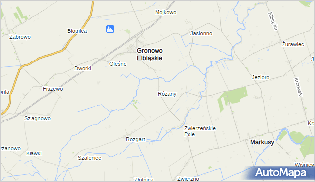 mapa Różany gmina Gronowo Elbląskie, Różany gmina Gronowo Elbląskie na mapie Targeo