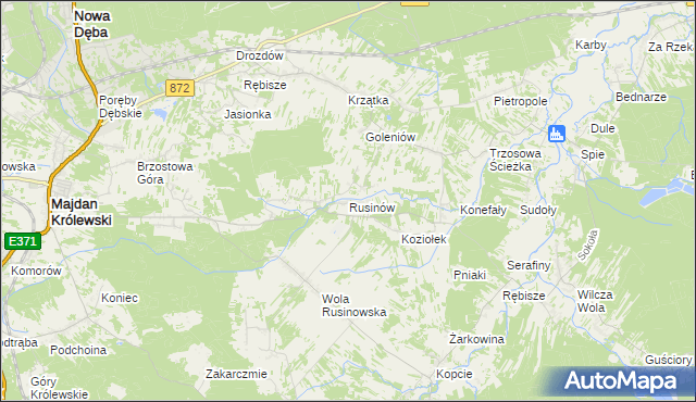 mapa Rusinów gmina Majdan Królewski, Rusinów gmina Majdan Królewski na mapie Targeo