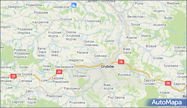 mapa Siołkowa, Siołkowa na mapie Targeo