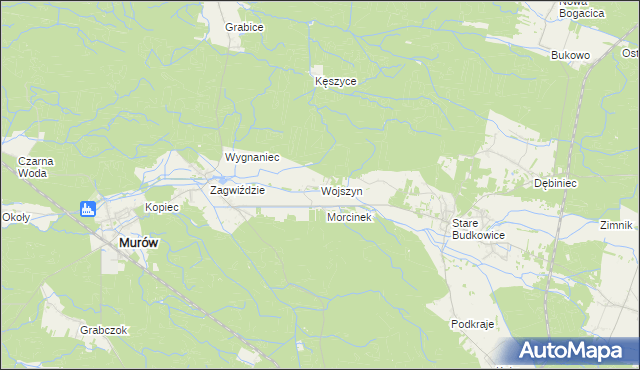 mapa Wojszyn gmina Murów, Wojszyn gmina Murów na mapie Targeo