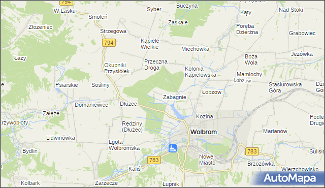 mapa Zabagnie gmina Wolbrom, Zabagnie gmina Wolbrom na mapie Targeo