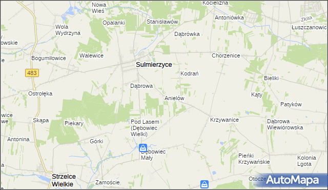 mapa Anielów gmina Sulmierzyce, Anielów gmina Sulmierzyce na mapie Targeo