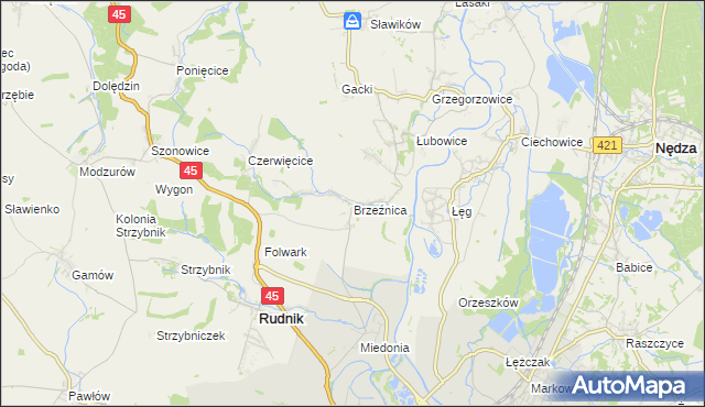 mapa Brzeźnica gmina Rudnik, Brzeźnica gmina Rudnik na mapie Targeo