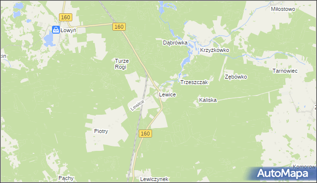 mapa Lewice gmina Międzychód, Lewice gmina Międzychód na mapie Targeo