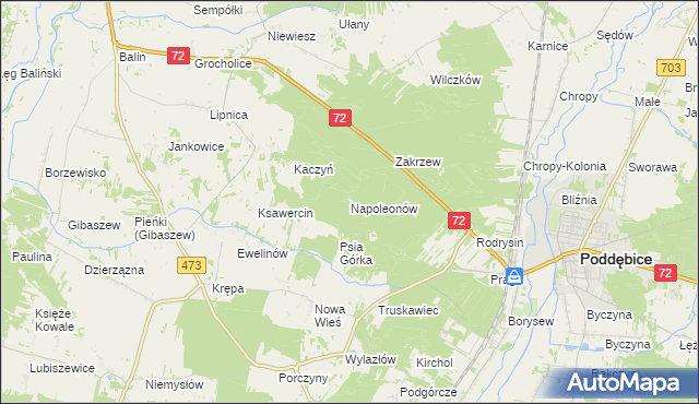 mapa Napoleonów gmina Poddębice, Napoleonów gmina Poddębice na mapie Targeo