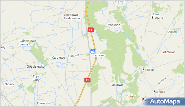 mapa Tarnowo gmina Rogoźno, Tarnowo gmina Rogoźno na mapie Targeo