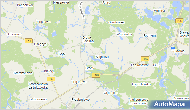 mapa Wojnowo gmina Murowana Goślina, Wojnowo gmina Murowana Goślina na mapie Targeo