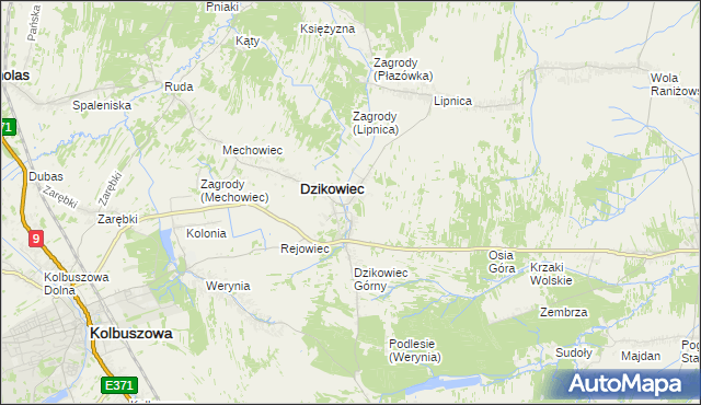 mapa Nowy Dzikowiec, Nowy Dzikowiec na mapie Targeo