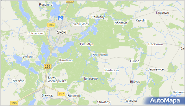 mapa Antoniewo gmina Skoki, Antoniewo gmina Skoki na mapie Targeo