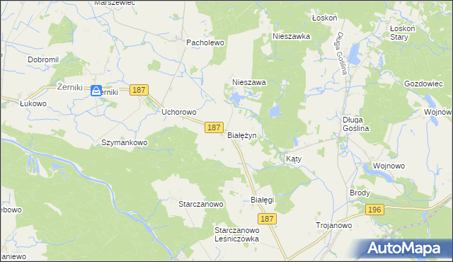 mapa Białężyn gmina Murowana Goślina, Białężyn gmina Murowana Goślina na mapie Targeo