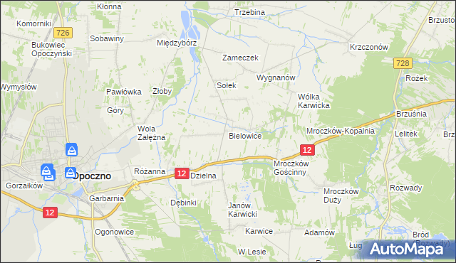 mapa Bielowice gmina Opoczno, Bielowice gmina Opoczno na mapie Targeo