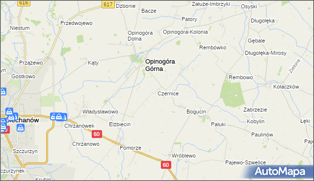 mapa Czernice gmina Opinogóra Górna, Czernice gmina Opinogóra Górna na mapie Targeo
