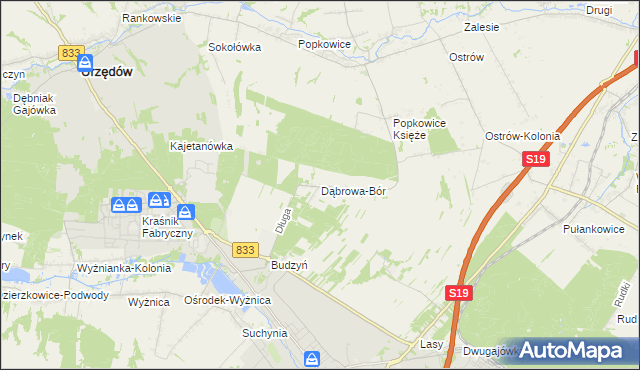 mapa Dąbrowa-Bór, Dąbrowa-Bór na mapie Targeo
