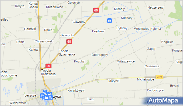 mapa Dobrogosty gmina Łęczyca, Dobrogosty gmina Łęczyca na mapie Targeo