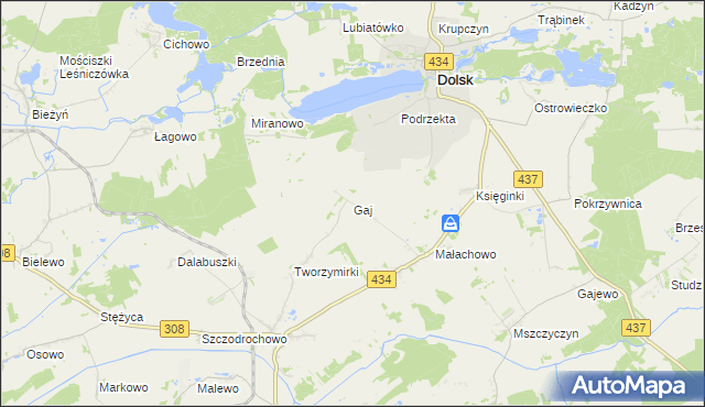 mapa Gaj gmina Gostyń, Gaj gmina Gostyń na mapie Targeo