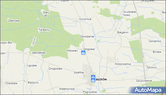 mapa Głogowa gmina Raszków, Głogowa gmina Raszków na mapie Targeo