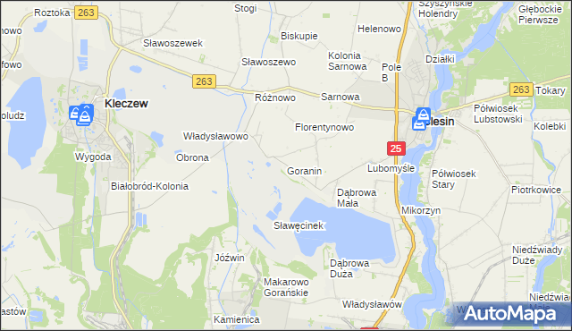 mapa Goranin gmina Ślesin, Goranin gmina Ślesin na mapie Targeo