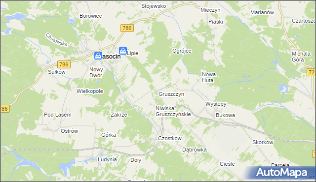 mapa Gruszczyn gmina Krasocin, Gruszczyn gmina Krasocin na mapie Targeo