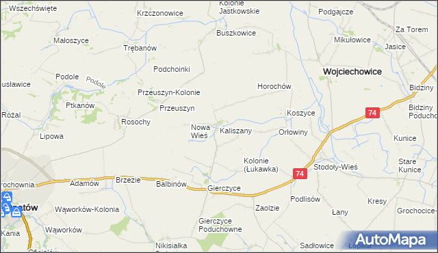 mapa Kaliszany gmina Wojciechowice, Kaliszany gmina Wojciechowice na mapie Targeo