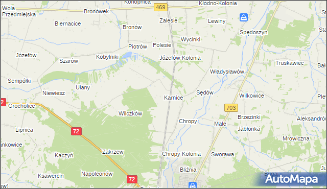 mapa Karnice gmina Poddębice, Karnice gmina Poddębice na mapie Targeo