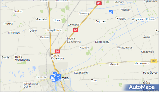 mapa Kozuby gmina Łęczyca, Kozuby gmina Łęczyca na mapie Targeo