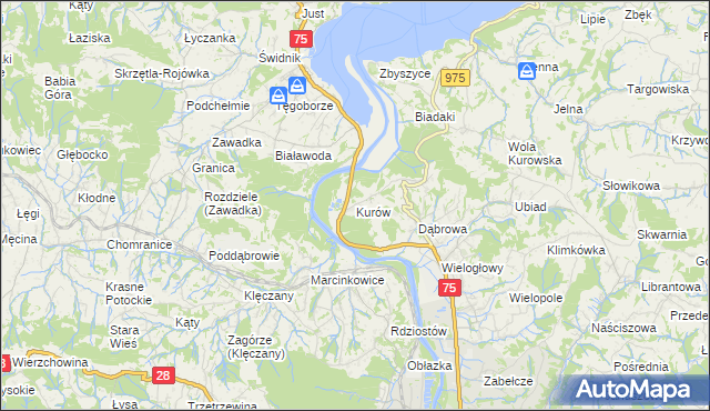 mapa Kurów gmina Chełmiec, Kurów gmina Chełmiec na mapie Targeo