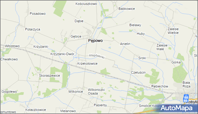 mapa Magdalenki gmina Pępowo, Magdalenki gmina Pępowo na mapie Targeo