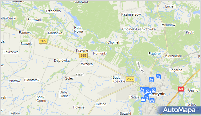 mapa Nagodów gmina Gostynin, Nagodów gmina Gostynin na mapie Targeo
