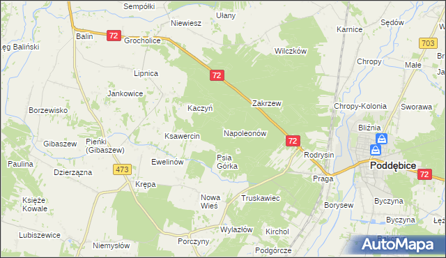 mapa Napoleonów gmina Poddębice, Napoleonów gmina Poddębice na mapie Targeo