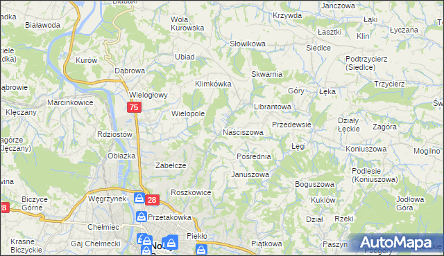 mapa Naściszowa, Naściszowa na mapie Targeo
