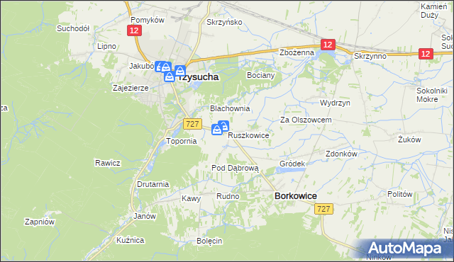 mapa Ruszkowice gmina Borkowice, Ruszkowice gmina Borkowice na mapie Targeo
