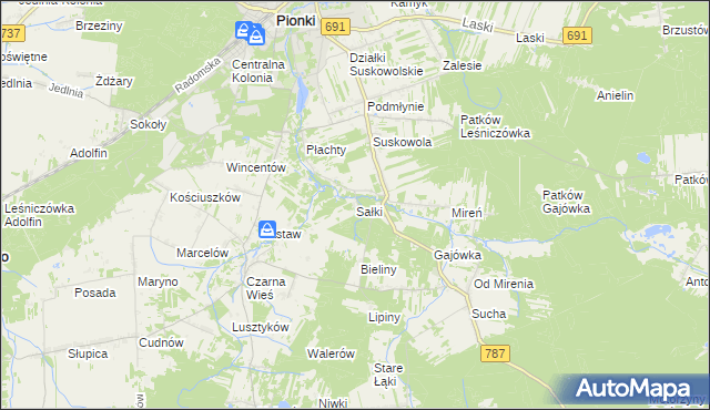 mapa Sałki gmina Pionki, Sałki gmina Pionki na mapie Targeo
