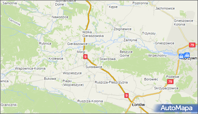 mapa Skwirzowa, Skwirzowa na mapie Targeo