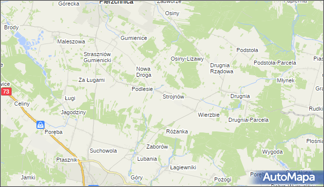 mapa Strojnów gmina Pierzchnica, Strojnów gmina Pierzchnica na mapie Targeo