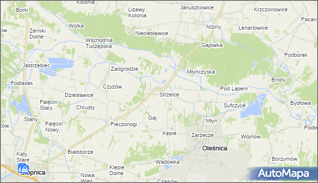 mapa Strzelce gmina Oleśnica, Strzelce gmina Oleśnica na mapie Targeo