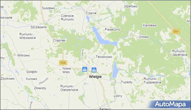 mapa Teodorowo gmina Wielgie, Teodorowo gmina Wielgie na mapie Targeo