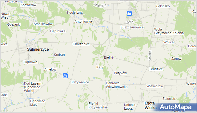 mapa Trzciniec gmina Sulmierzyce, Trzciniec gmina Sulmierzyce na mapie Targeo