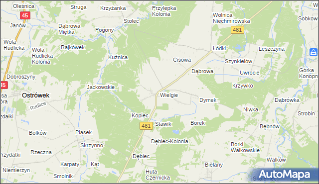 mapa Wielgie gmina Ostrówek, Wielgie gmina Ostrówek na mapie Targeo