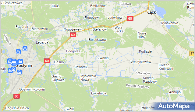 mapa Zwoleń gmina Gostynin, Zwoleń gmina Gostynin na mapie Targeo