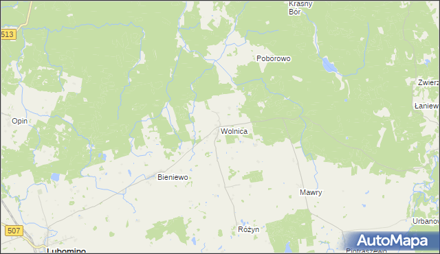 mapa Wolnica gmina Lubomino, Wolnica gmina Lubomino na mapie Targeo