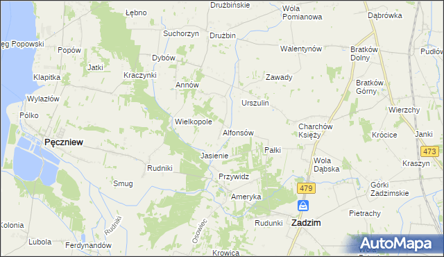 mapa Alfonsów gmina Zadzim, Alfonsów gmina Zadzim na mapie Targeo