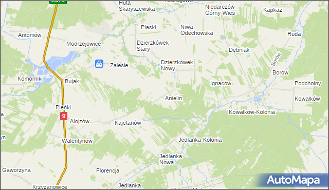 mapa Anielin gmina Skaryszew, Anielin gmina Skaryszew na mapie Targeo