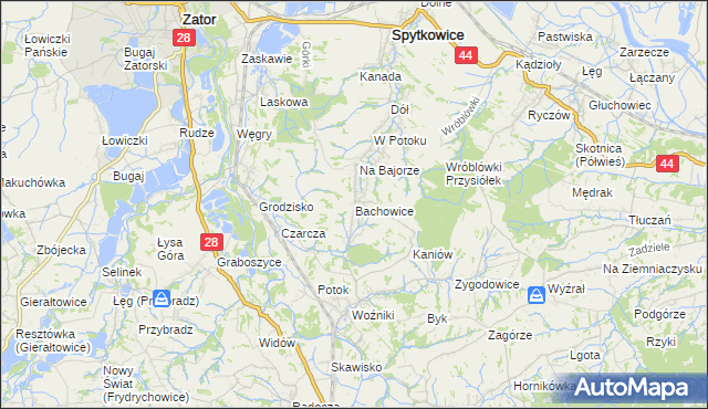 mapa Bachowice, Bachowice na mapie Targeo